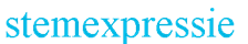 stemexpressie